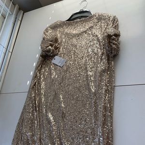 Ophelia Rose Sequin Short Sleeved Shift Dress SZ M